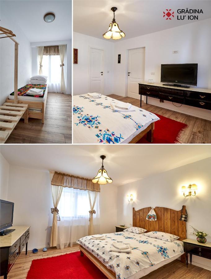 Gradina Lu' Ion "A Home Away From Home" (Adults Only) Vişeu de Sus Buitenkant foto