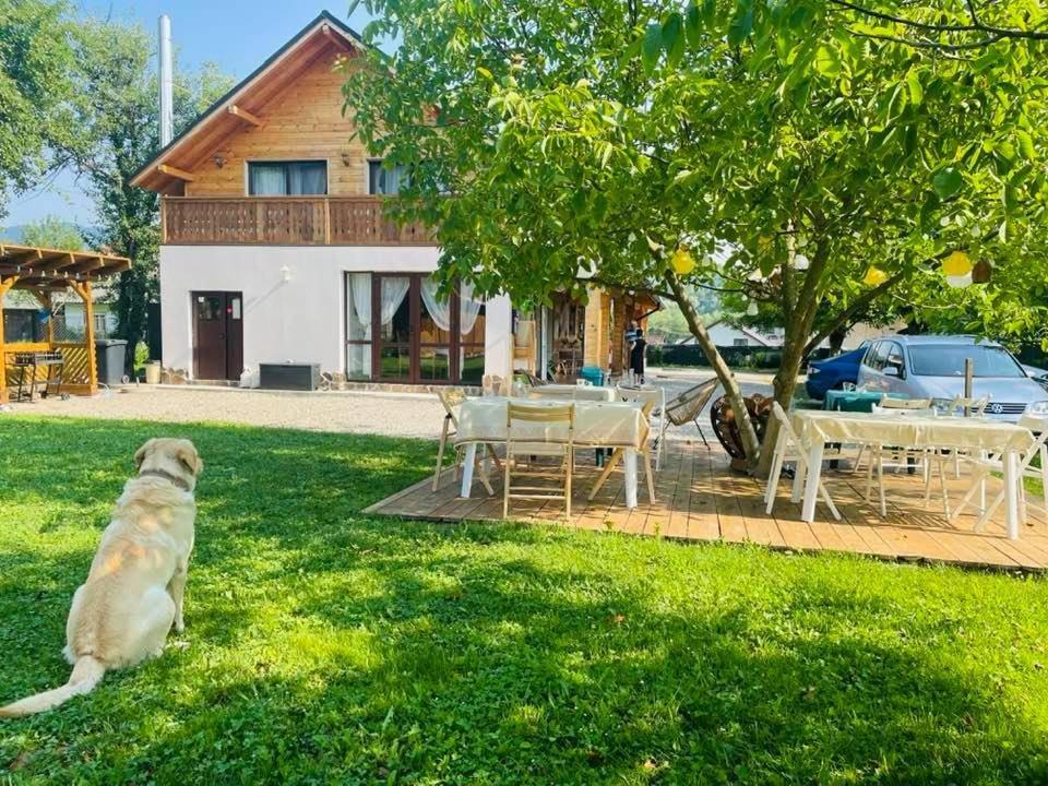 Gradina Lu' Ion "A Home Away From Home" (Adults Only) Vişeu de Sus Buitenkant foto