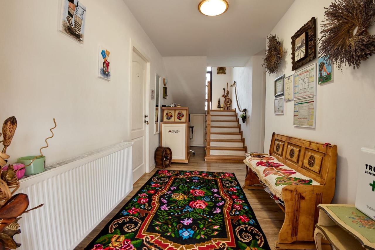 Gradina Lu' Ion "A Home Away From Home" (Adults Only) Vişeu de Sus Buitenkant foto
