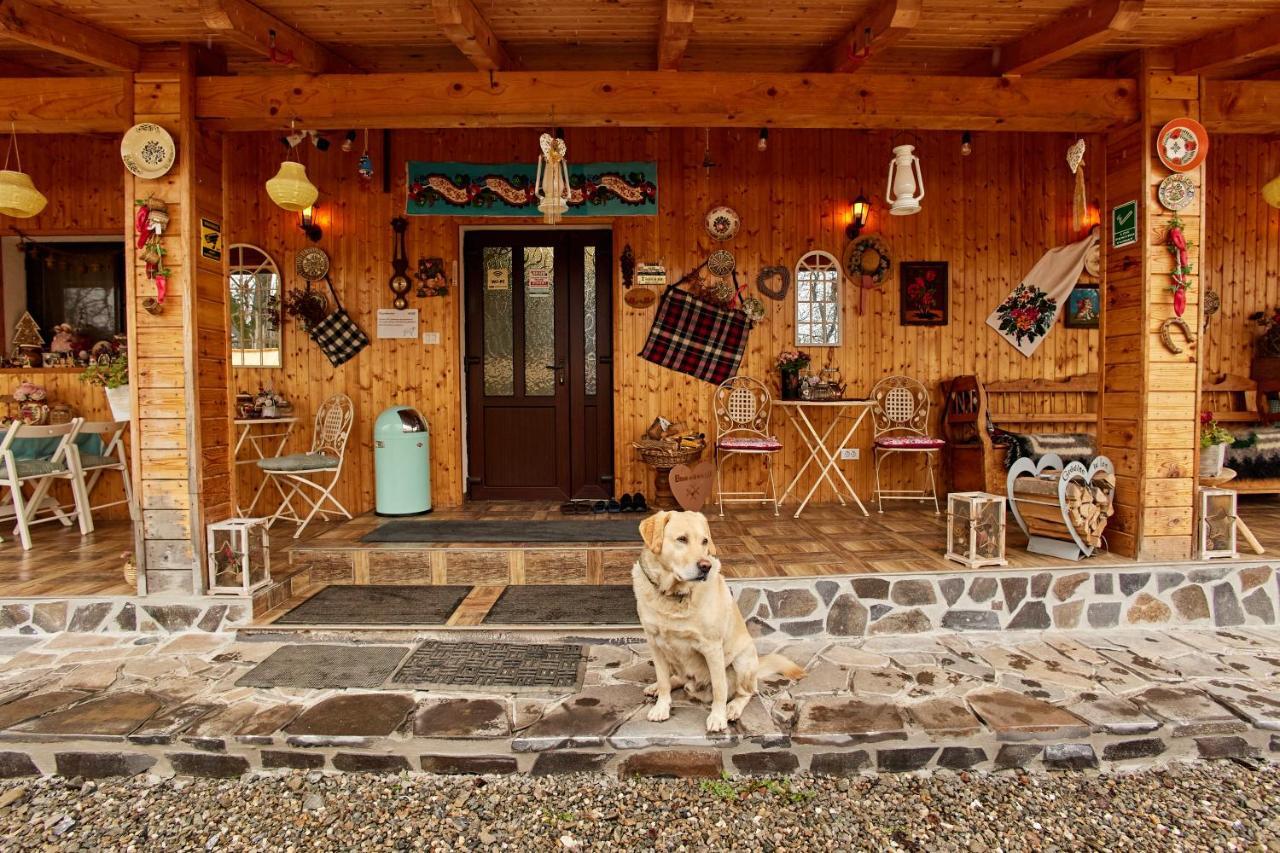Gradina Lu' Ion "A Home Away From Home" (Adults Only) Vişeu de Sus Buitenkant foto