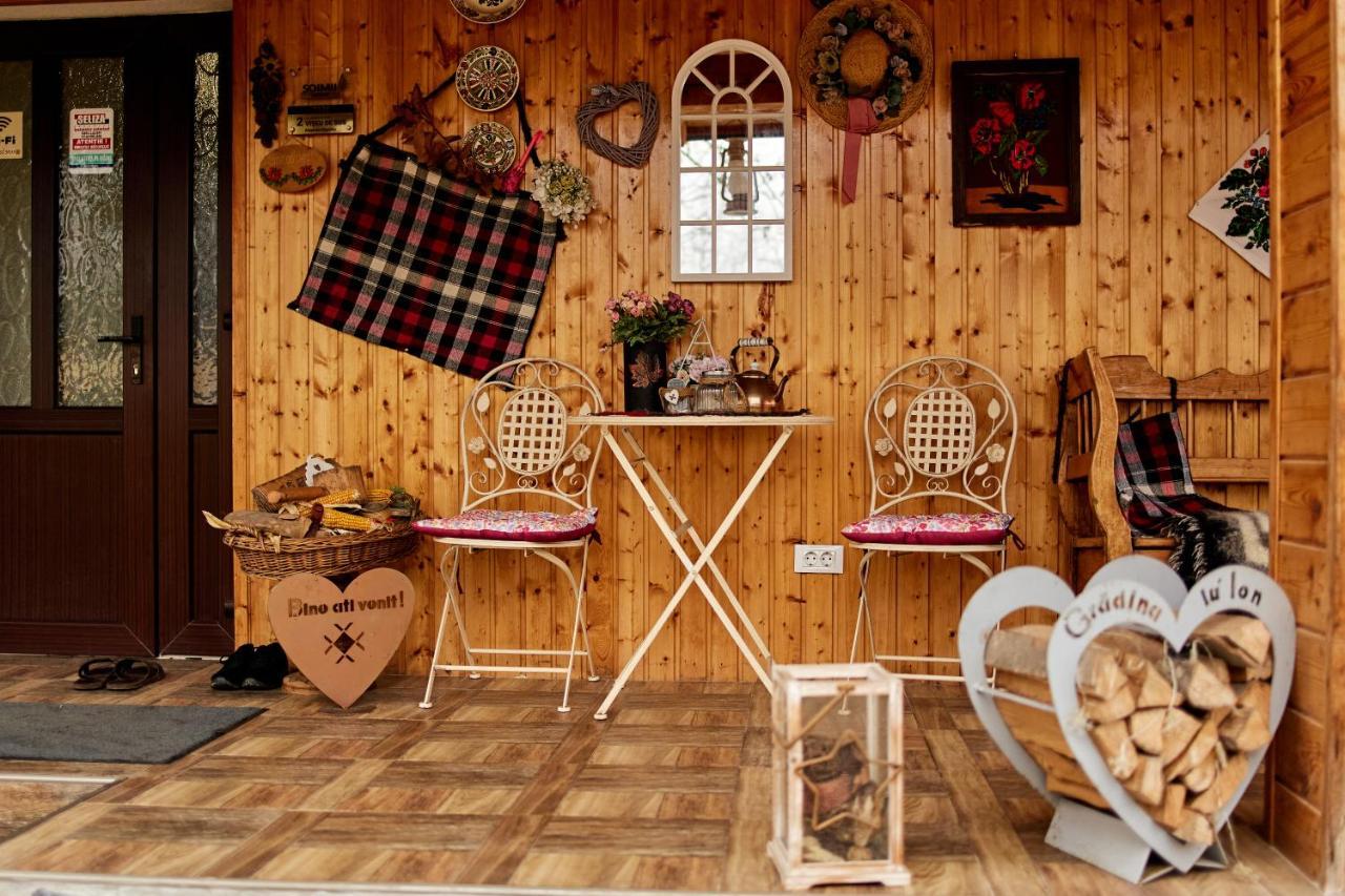 Gradina Lu' Ion "A Home Away From Home" (Adults Only) Vişeu de Sus Buitenkant foto