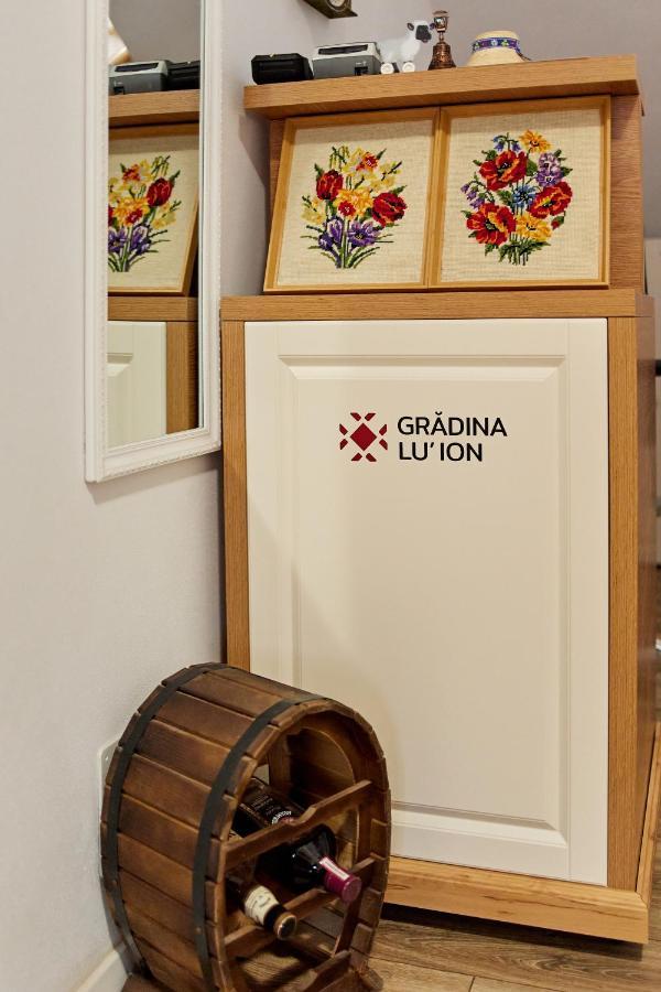 Gradina Lu' Ion "A Home Away From Home" (Adults Only) Vişeu de Sus Buitenkant foto
