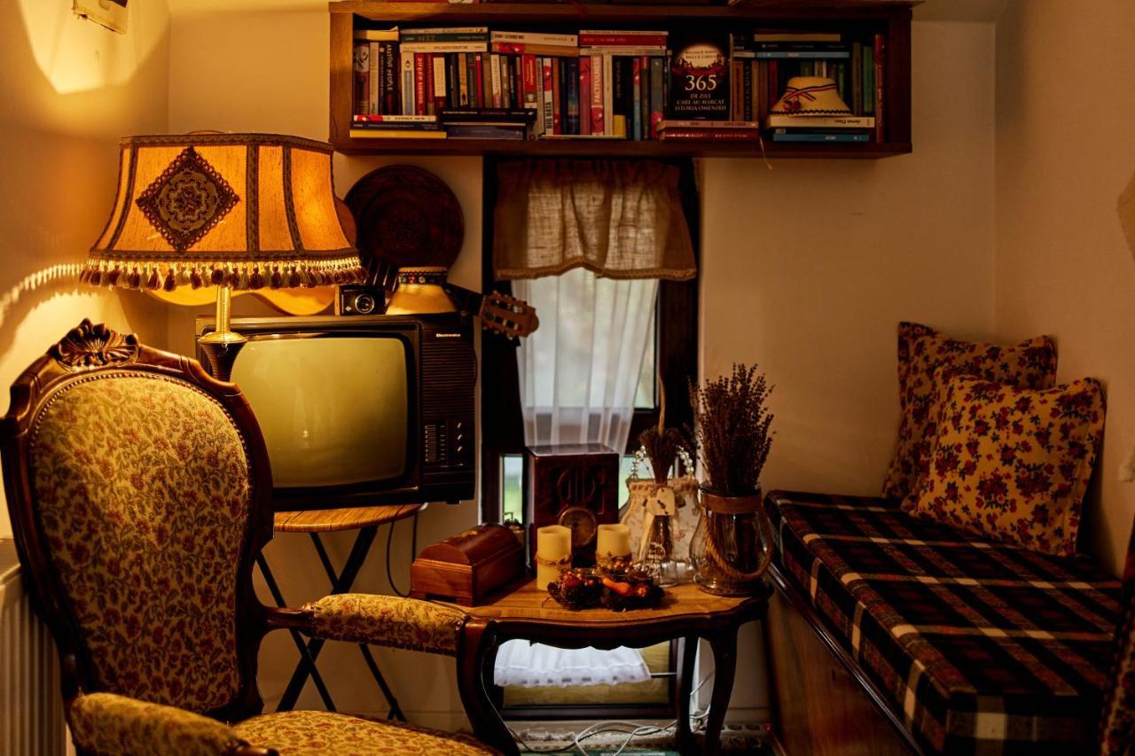 Gradina Lu' Ion "A Home Away From Home" (Adults Only) Vişeu de Sus Buitenkant foto