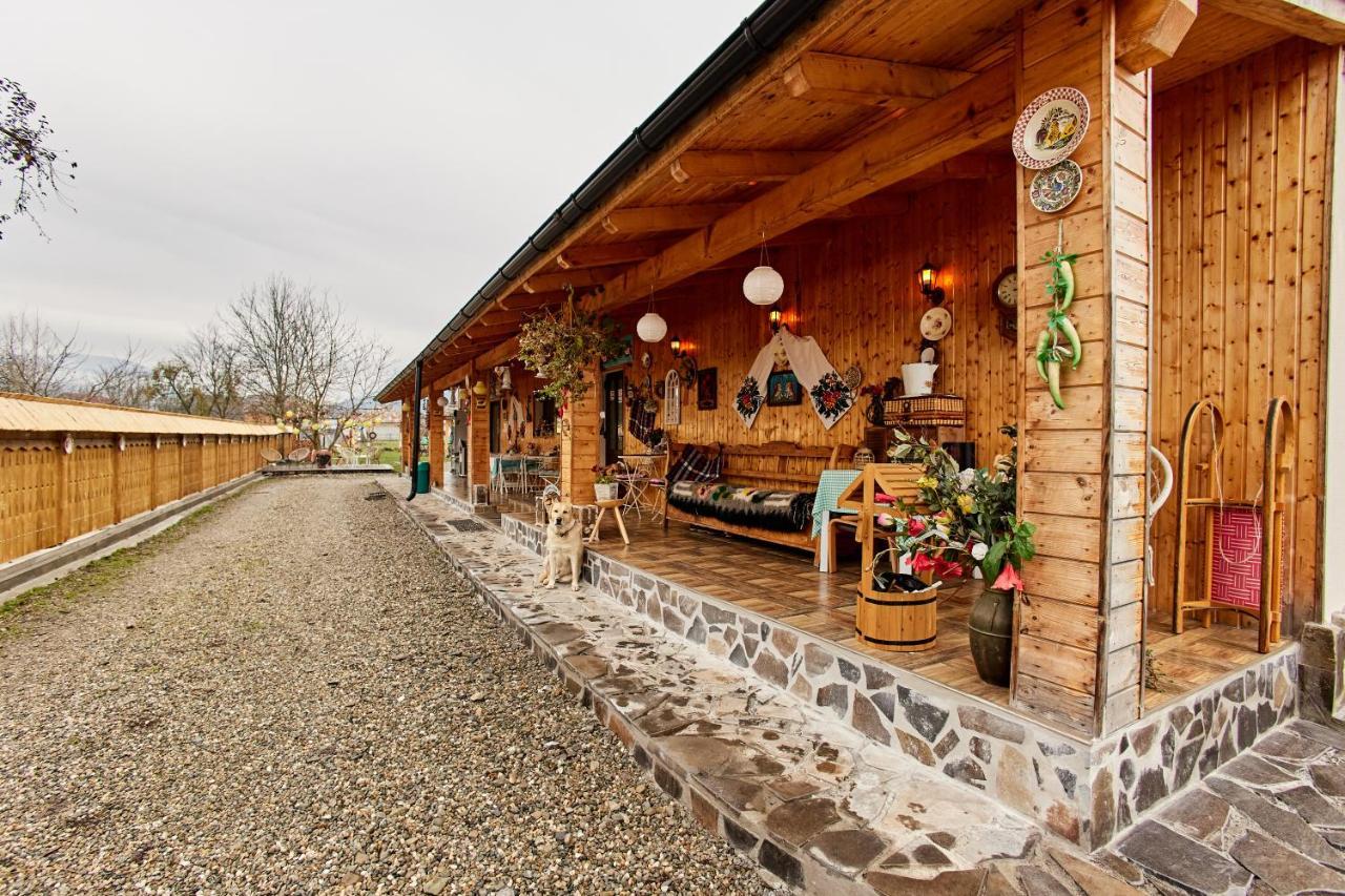 Gradina Lu' Ion "A Home Away From Home" (Adults Only) Vişeu de Sus Buitenkant foto
